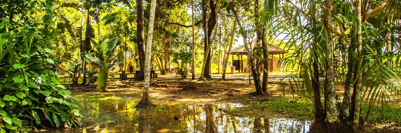 Công viên môi trường Chico Mendes (Parque Ambiental Chico Mendes)