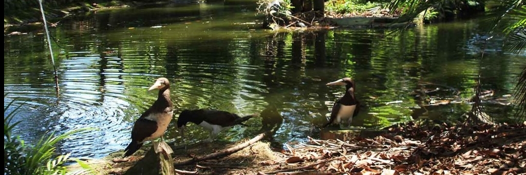 Công viên Zoobotanico (Parque Zoobotanico)