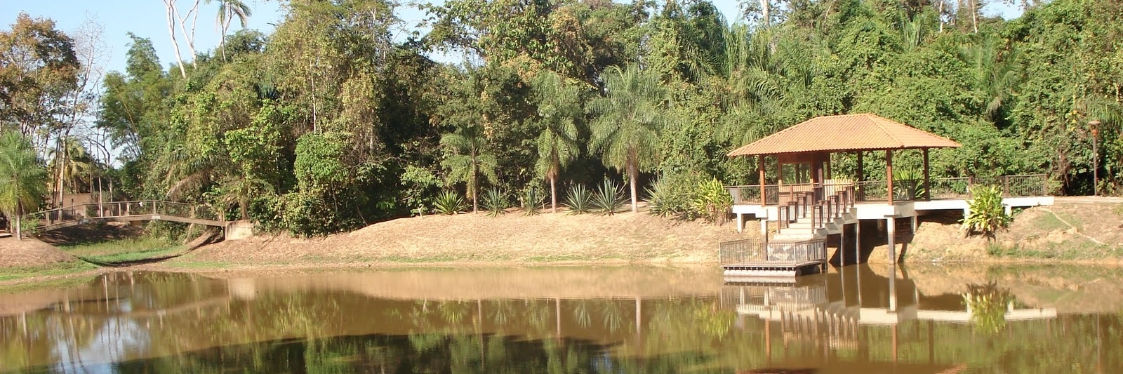 Rừng Horto (Horto Florestal)