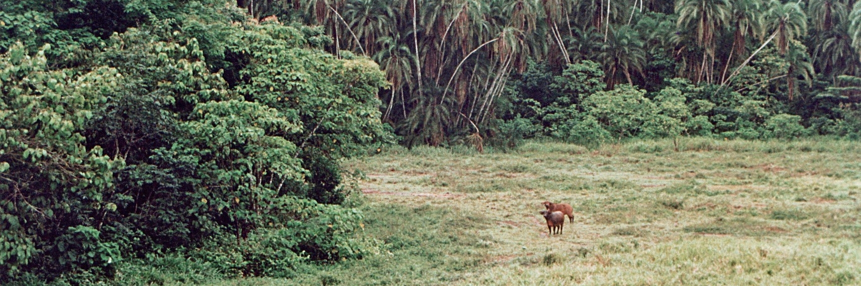 Khu bảo tồn thiên nhiên Al-Huswah (Al-Huswah Nature Preserve)