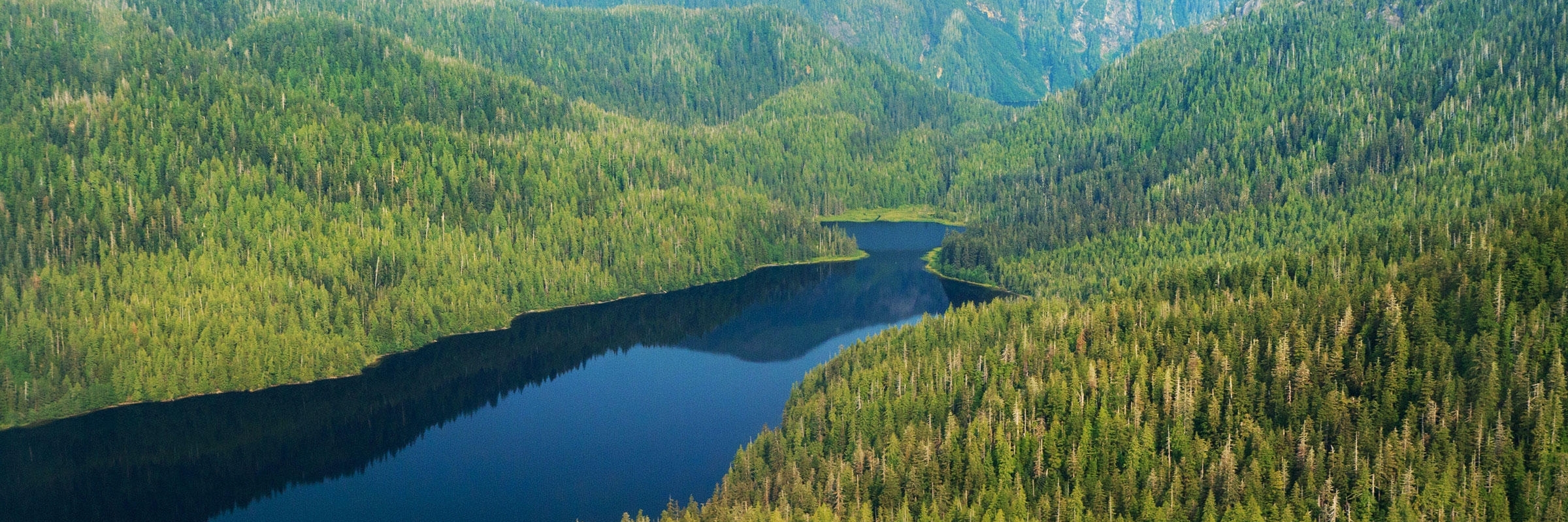 Rừng quốc gia Tongass (Tongass National Forest)