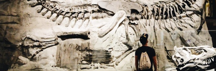 Bảo tàng Cổ sinh vật học Hoàng gia Tyrrell (Royal Tyrrell Museum of Palaeontology)