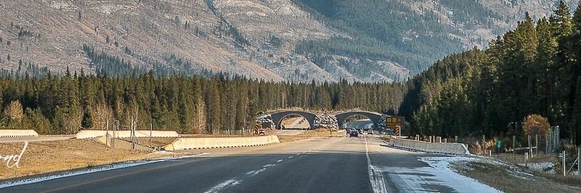 Đại lộ Bow Valley (Bow River Valley Highway)