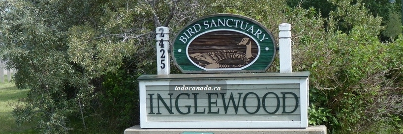Khu bảo tồn chim Inglewood (Inglewood Bird Sanctuary)