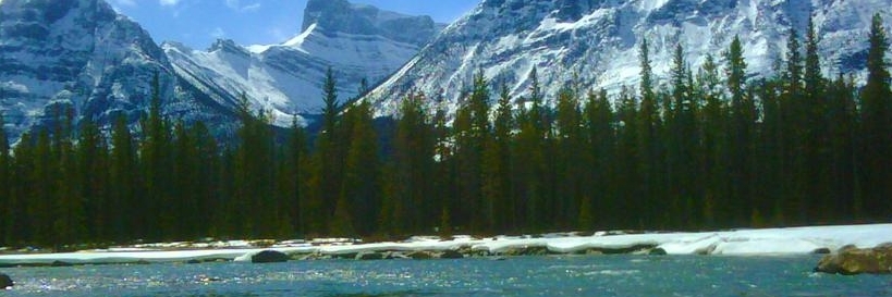 Thác Sunwapta (Sunwapta Falls)