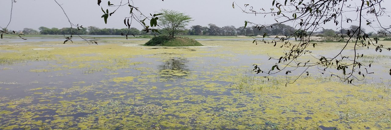Hồ Shekha (Shekha Lake)