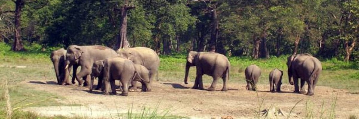 Công viên quốc gia Gugarnal (Gugarnal National Park)