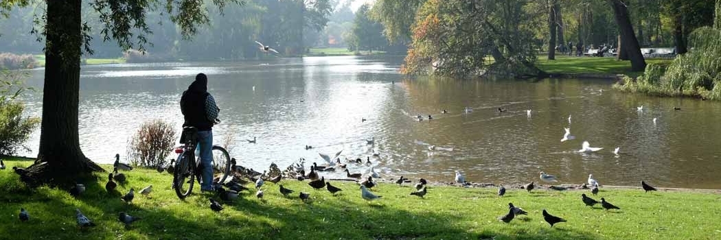 Công viên Ooster (Oosterpark)