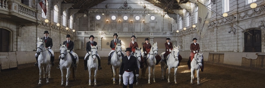 Trường cưỡi ngựa Hollandsche Manege (Hollandsche Manege)