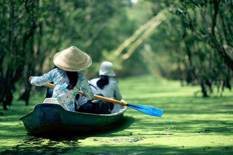Rừng tràm Trà Sư An Giang, Việt Nam
