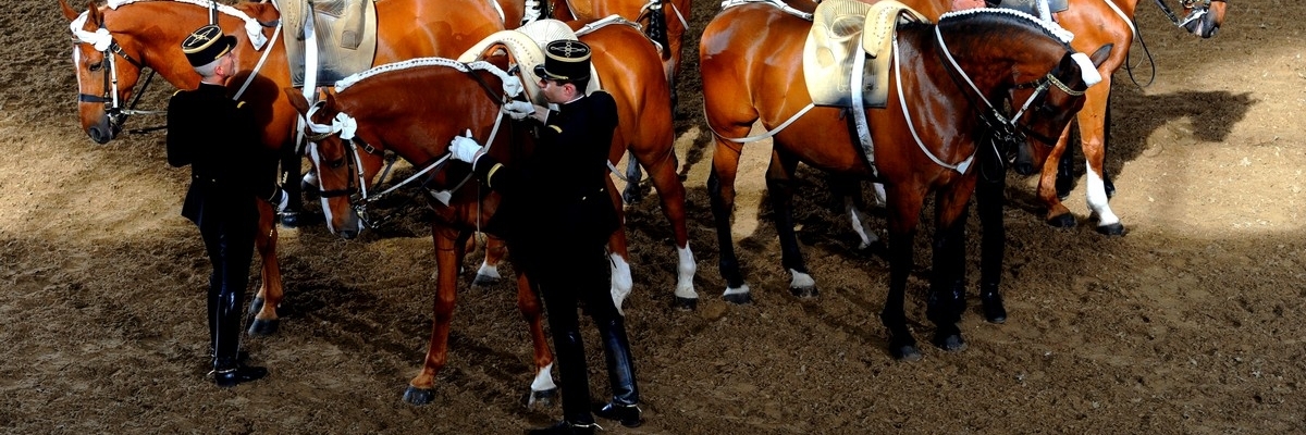 Học viện cưỡi ngựa quốc gia Saumur (Saumur National Horse Riding Academy)