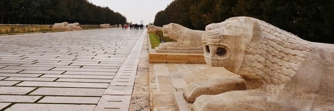 Đường Sư Tử (Lion Road)