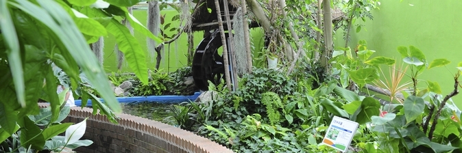 Vườn bách thảo Ansan (Ansan Botanical Garden)