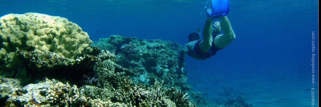 Công viên biển Aqaba (Aqaba Marine Park)