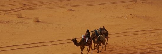Sa mạc Wadi Araba (Wadi Araba Desert)