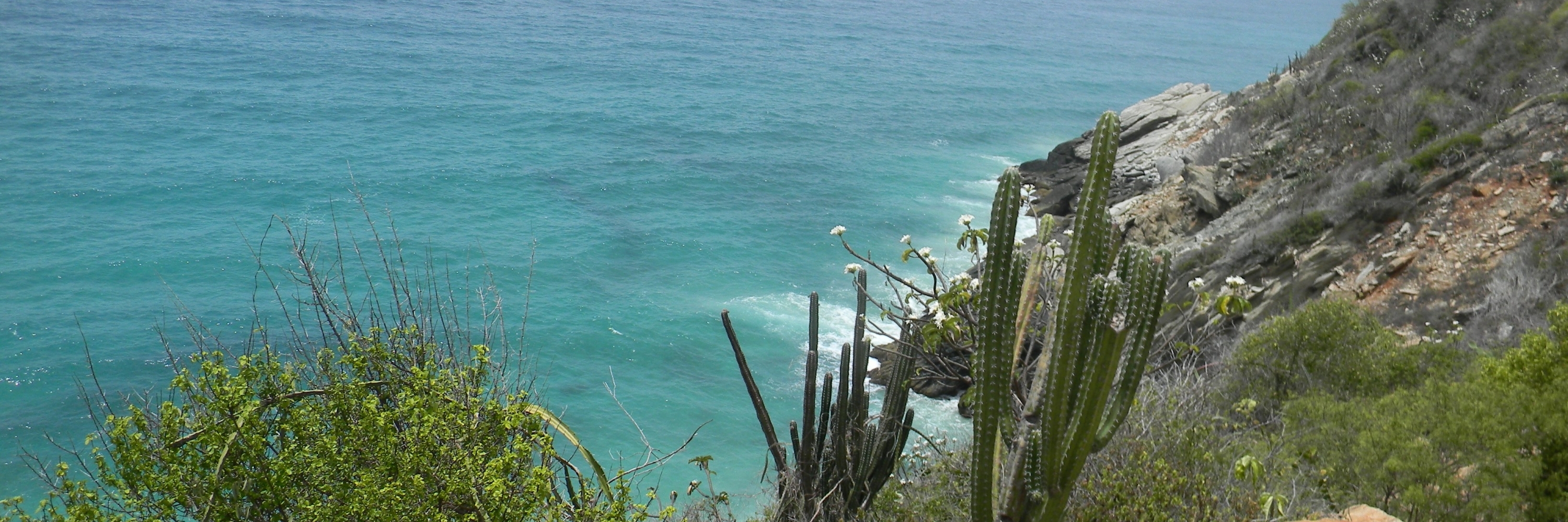Bãi biển Aroa (Playa Aroa)