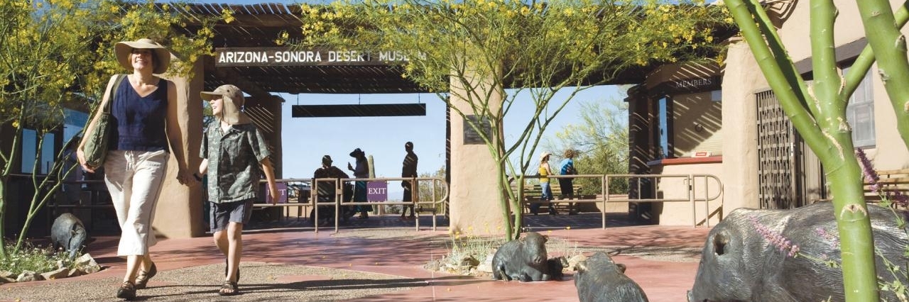 Bảo tàng Sa mạc Arizona-Sonora (Arizona-Sonora Desert Museum)