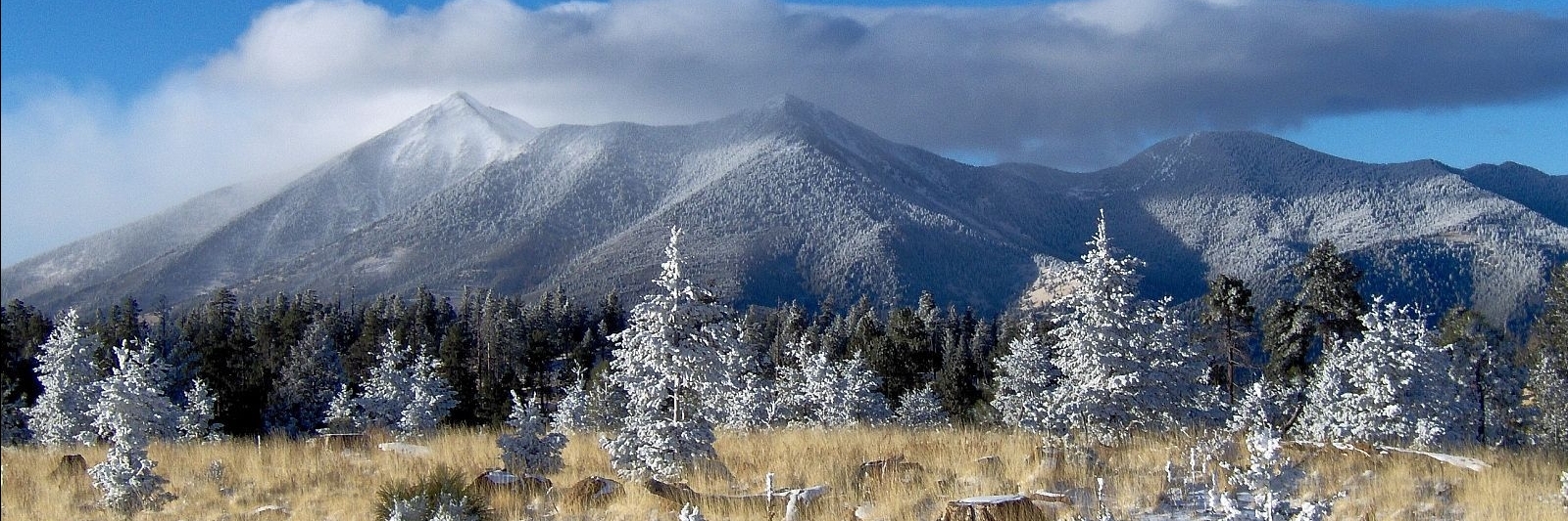 Đỉnh San Francisco (San Francisco Peaks)