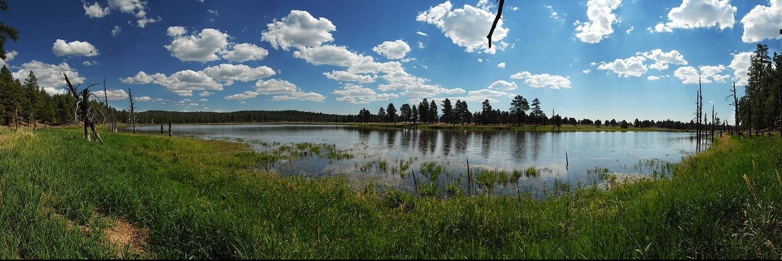 Rừng quốc gia Kaibab (Kaibab National Forest)