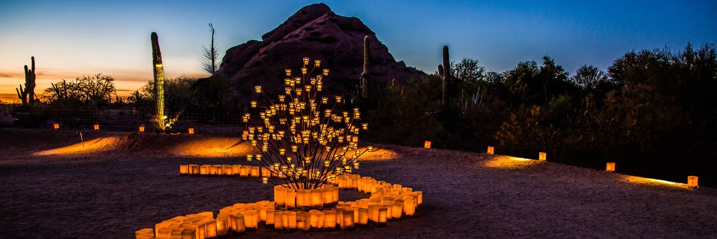 Vườn bách thảo Sa mạc (Desert Botanical Garden)