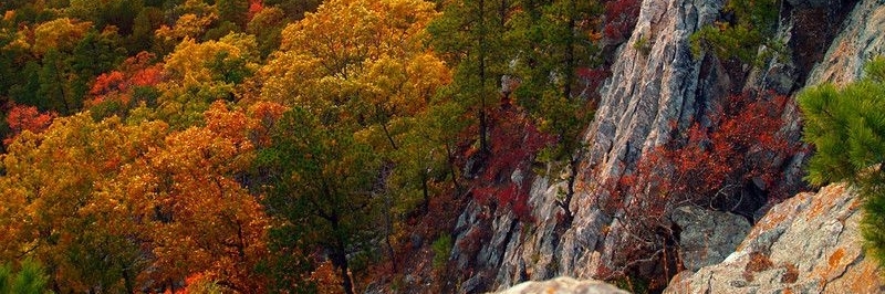 Rừng Quốc Gia Ouachita (Ouachita National Forest)