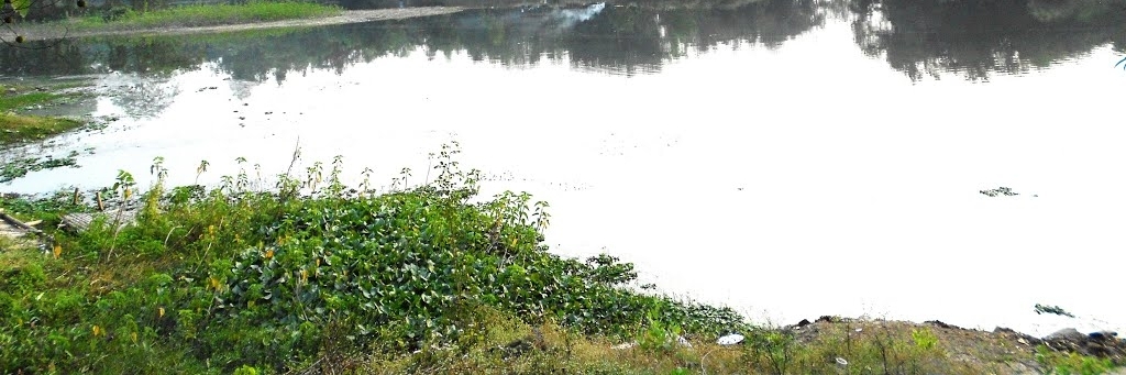 Công viên sinh thái Gunjan (Gunjan Ecological Park)
