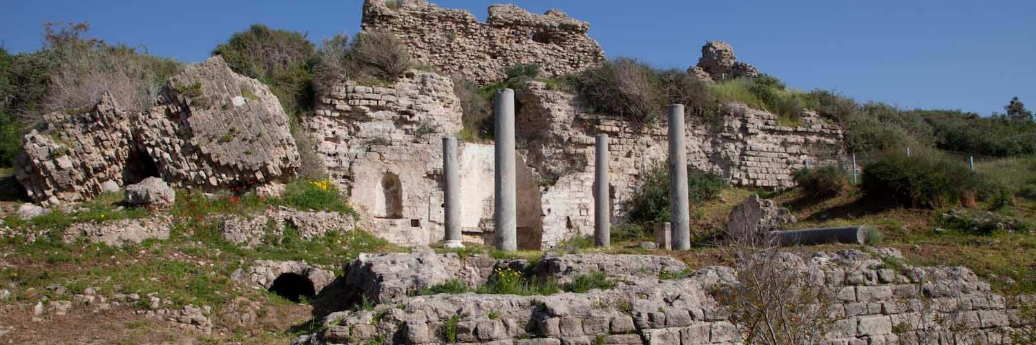 Các tàn tích lịch sử Tel Ashkelon (Tel Ashkelon)