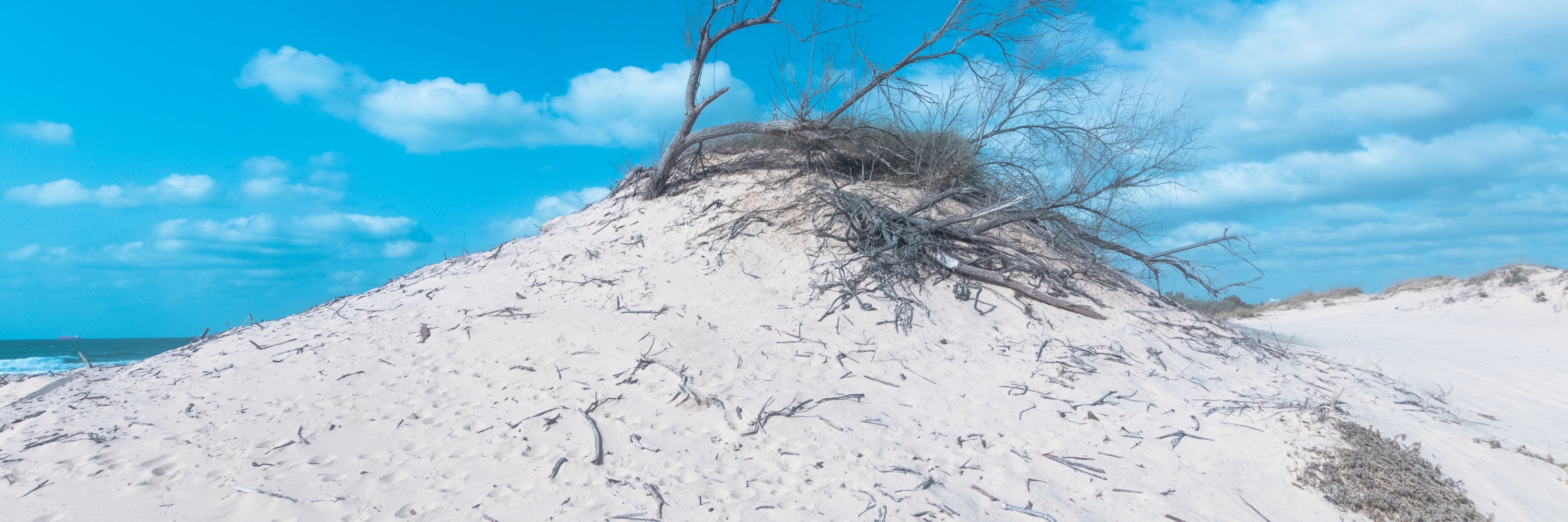 Khu bảo tồn tự nhiên cồn cát Nitsanim (Nitsanim Dunes Nature Reserve)