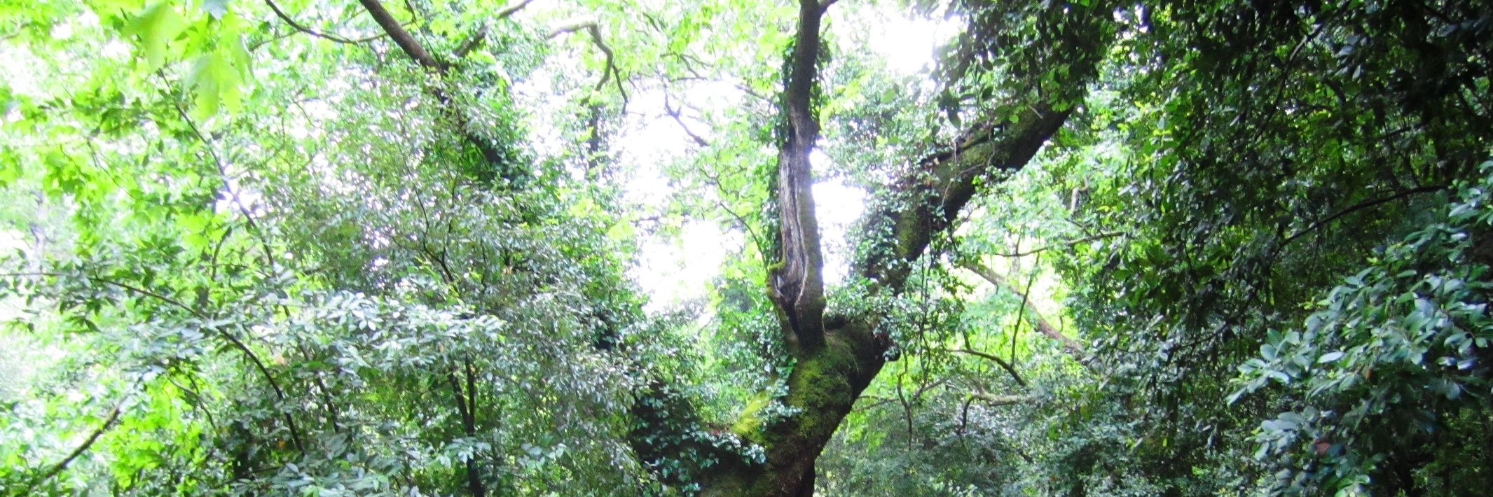 Công viên quốc gia Dilek Peninsula-Büyük Menderes Delta (Dilek Peninsula-Büyük Menderes Delta National Park)