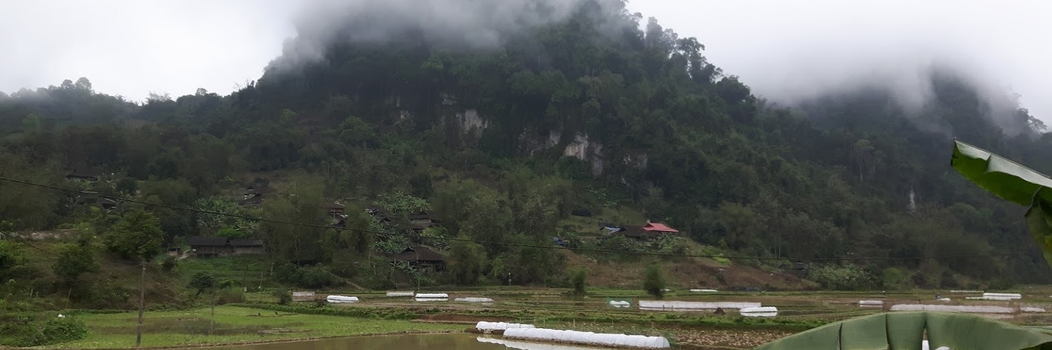 Khu Bảo tồn Thiên nhiên Kim Hỷ