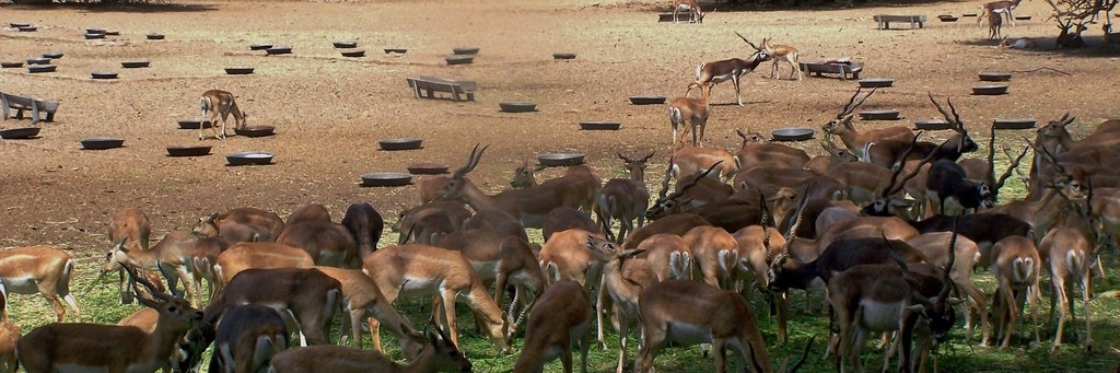 Vườn tự nhiên Lal Suhanra (Lal Suhanra National Park)