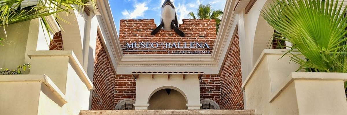 Bảo tàng cá voi (Museo de la Ballena)