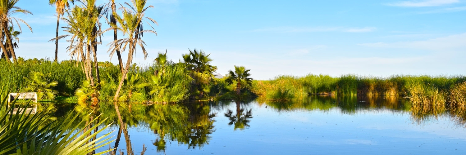 Cửa sông San José (Estero San José)
