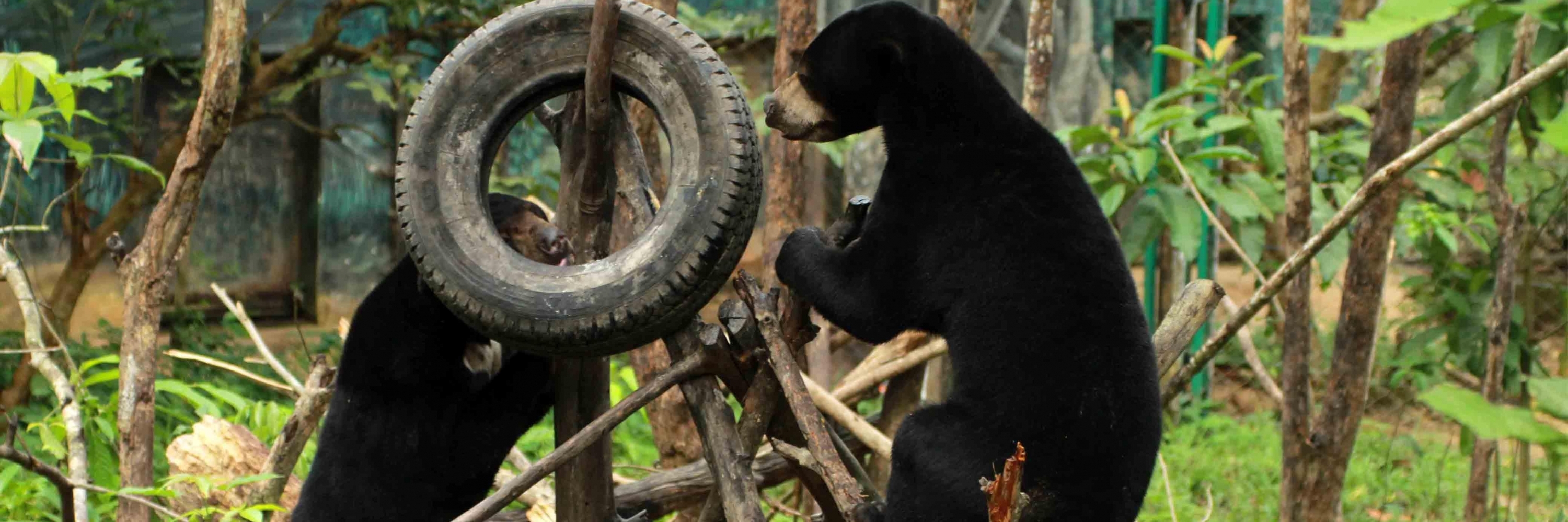 Trung tâm bảo tồn Gấu mặt trời KWPLH (KWPLH Sun Bear Conservation Center)