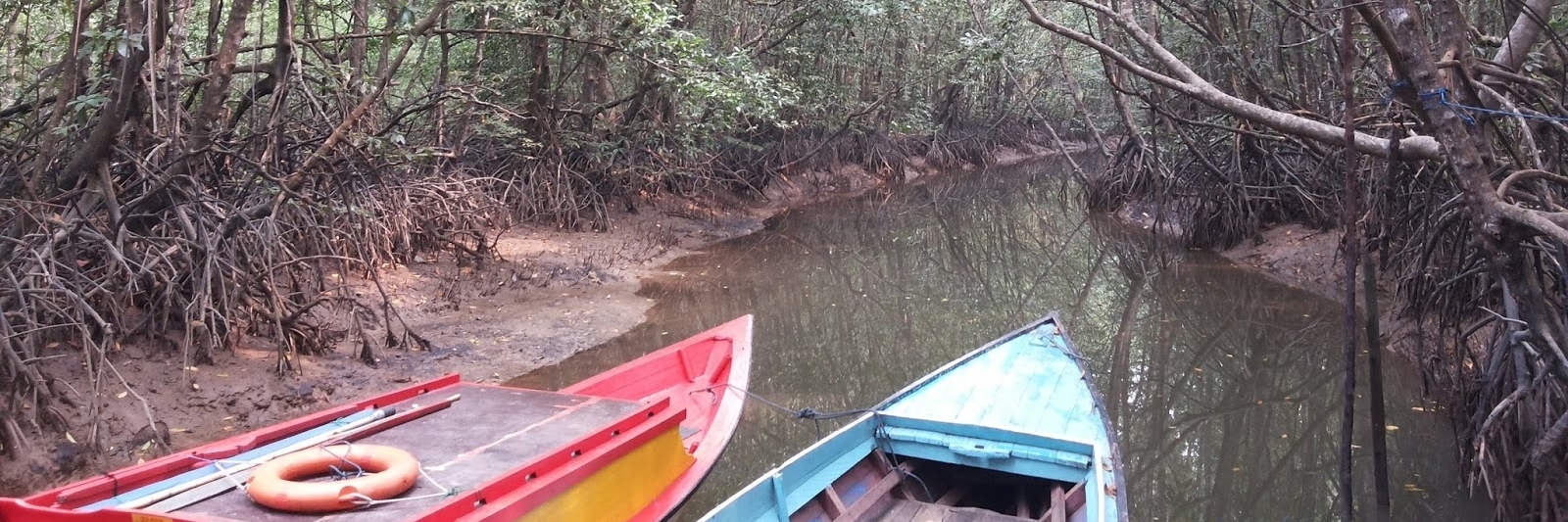 Trung tâm rừng ngập mặn Graha Indah (Mangrove Center Graha Indah)