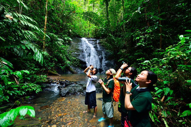 Công viên quốc gia Ulu Temburong