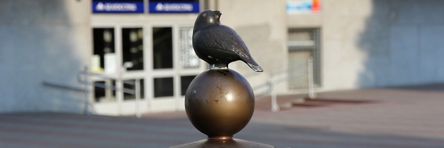 Tượng đài chim sẻ (Sparrow Monument)
