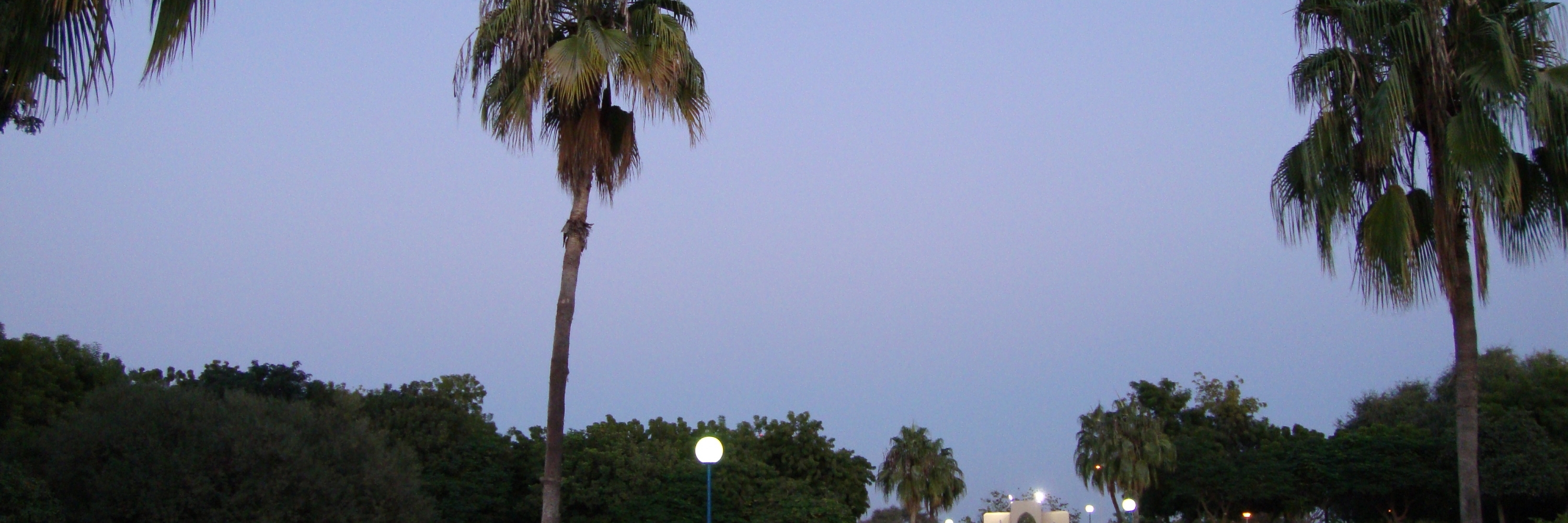 Công viên Naseem (Naseem Park)