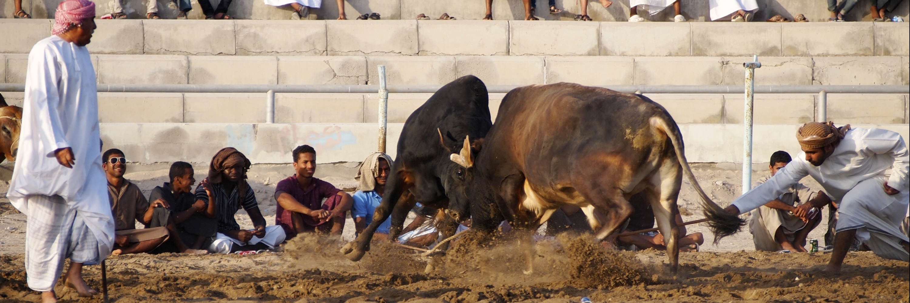 Trường đấu bò Barka (Barka Bull Fight Arena)