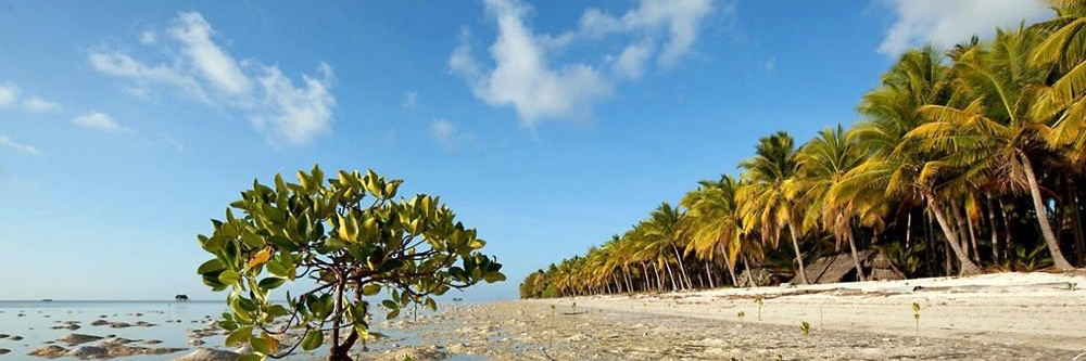 Bãi biển Muara Beting (Muara Beting Beach)
