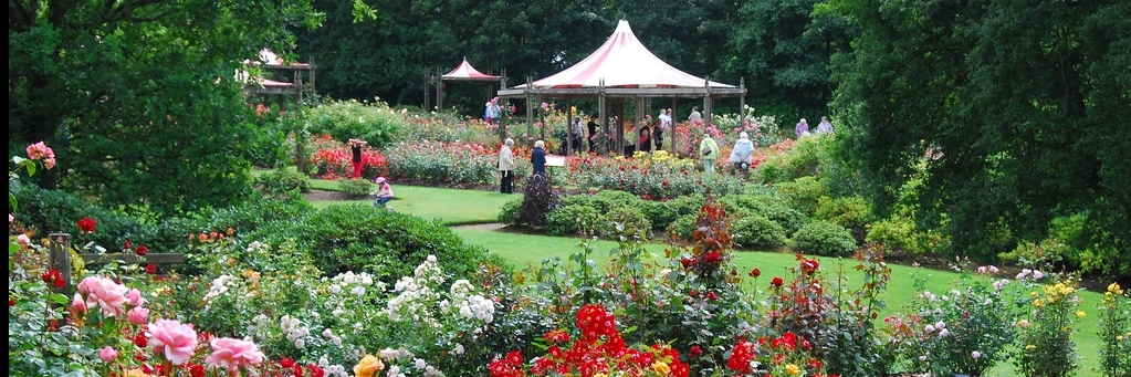 Công viên Ngài Thomas và Bà Dixon (Sir Thomas & Lady Dixon Park)