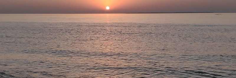 Bãi biển Ghogha (Ghogha Beach)