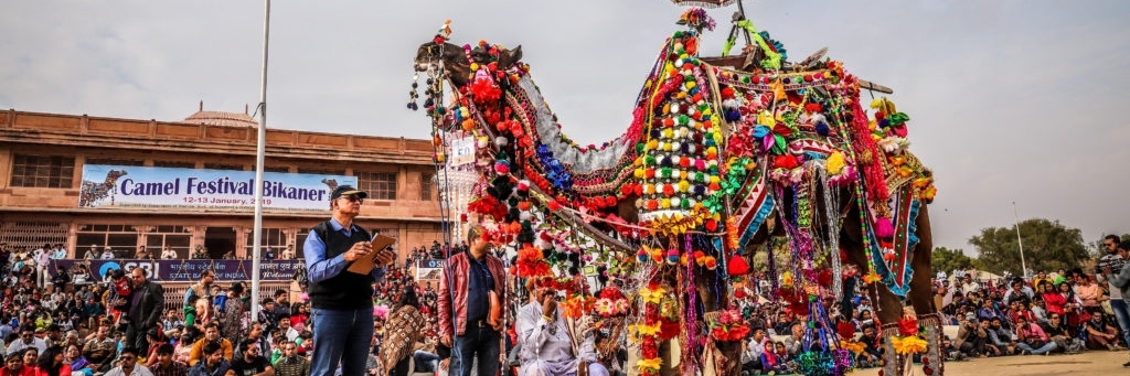 Lễ hội lạc đà Bikaner (Bikaner Camel Festival)