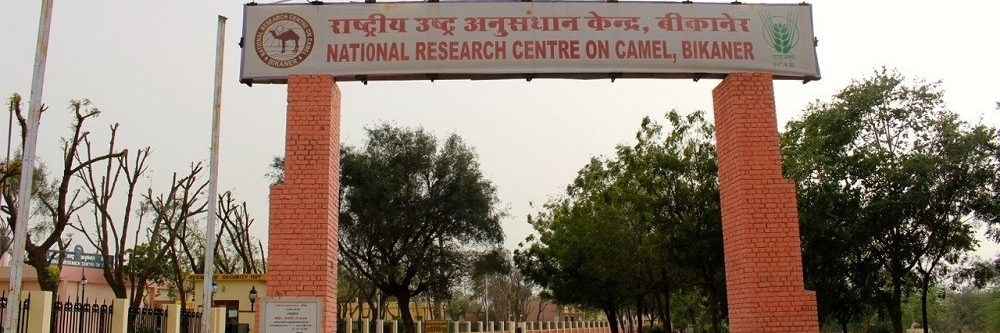 Trung tâm nghiên cứu lạc đà quốc gia (National Research Centre On Camel)
