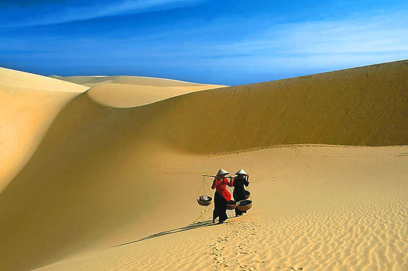 Cùng khám phá địa điểm Đồi cát Phương Mai tại Bình Định - GODY.VN