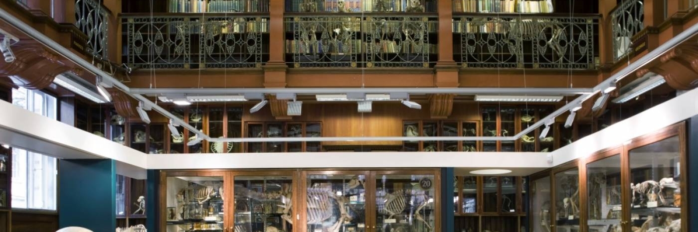 Bảo tàng Sinh Vật Học (Museum of Zoology)