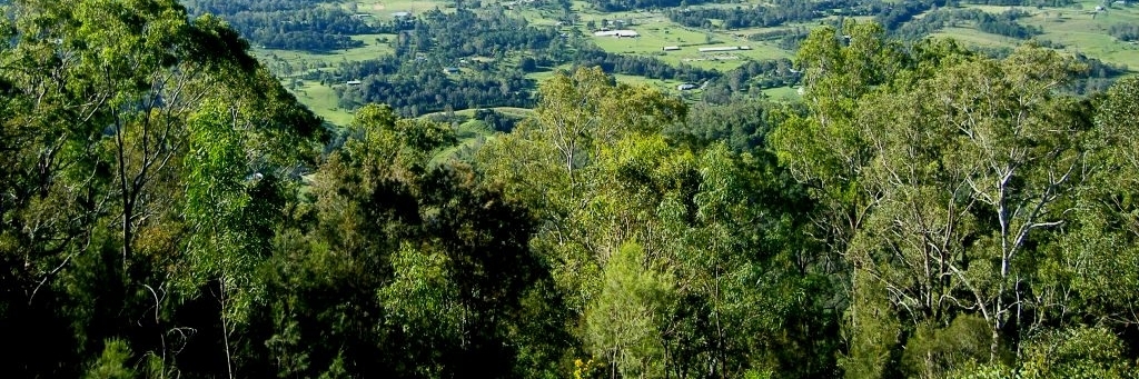 Công viên quốc gia DAguilar (DAguilar National Park)