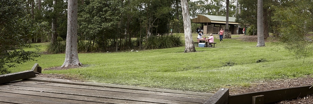 Khu bảo tồn núi Coot-tha (Mt Coot-tha Reserve)