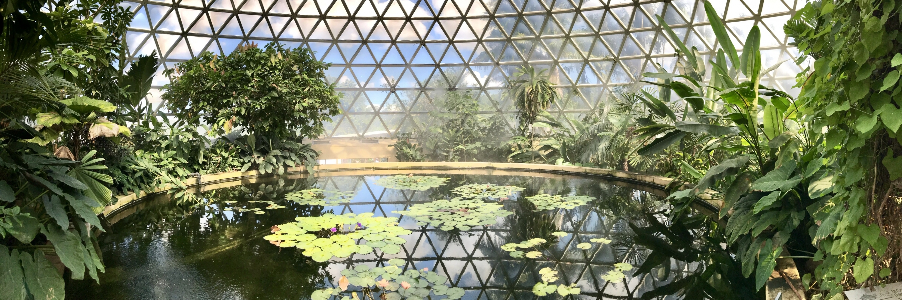 Vườn bách thảo thuộc núi Coot-tha Brisbane (Brisbane Botanic Gardens Mount Coot-tha)