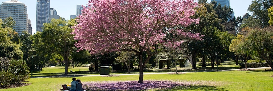 Vườn Thực Vật Landmark ( City Botanic Gardens )